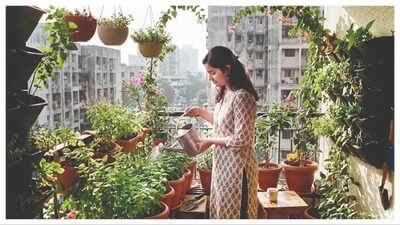 Urban Gardening in Mumbai: In a city that’s short on Space, green finds a way