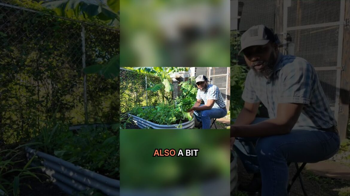 #gardening #nutrition #garden #gardeningtips