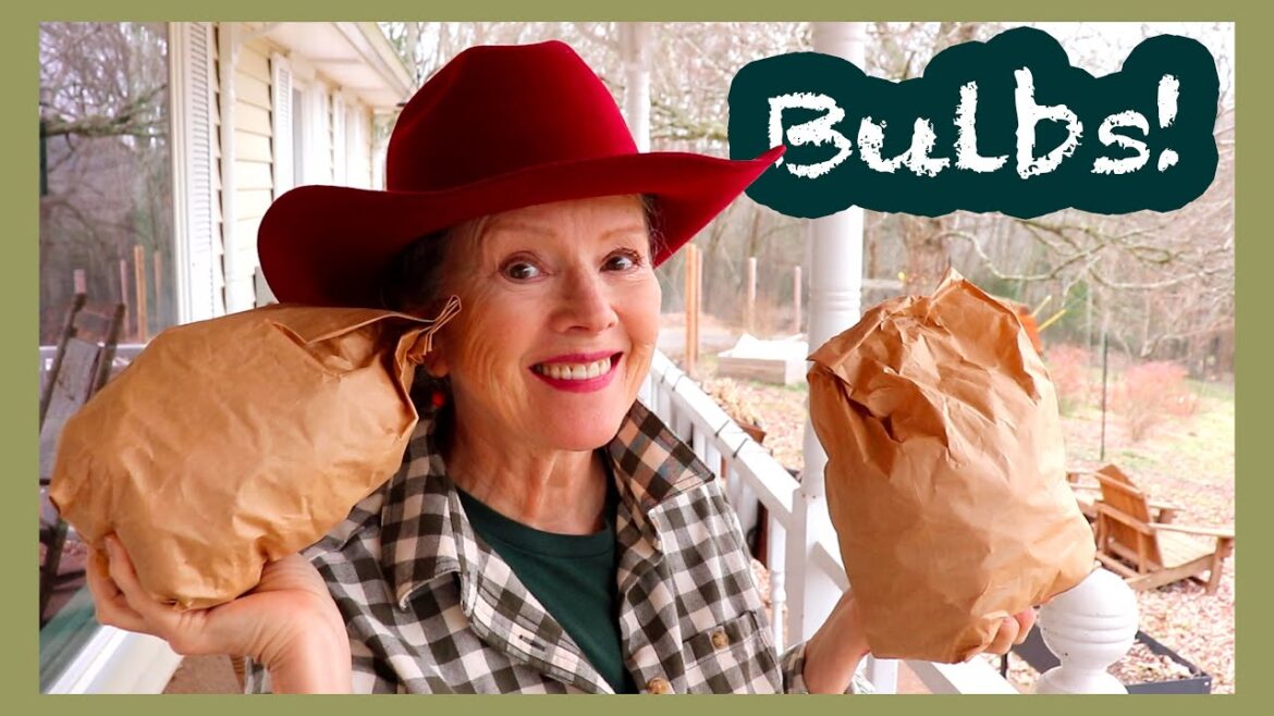 Kaye Kittrell: PERFECT Video to end the YEAR! Planting BULBS! #howto #tips PERFECT Video to end the YEAR! Planting BULBS! #howto #tips