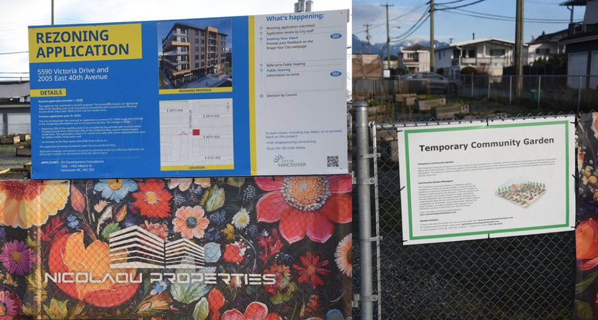 Community Garden at rezoning site at 5590 Victoria Dr. Applicant seeks to replace 30% below market units with 100% market rentals