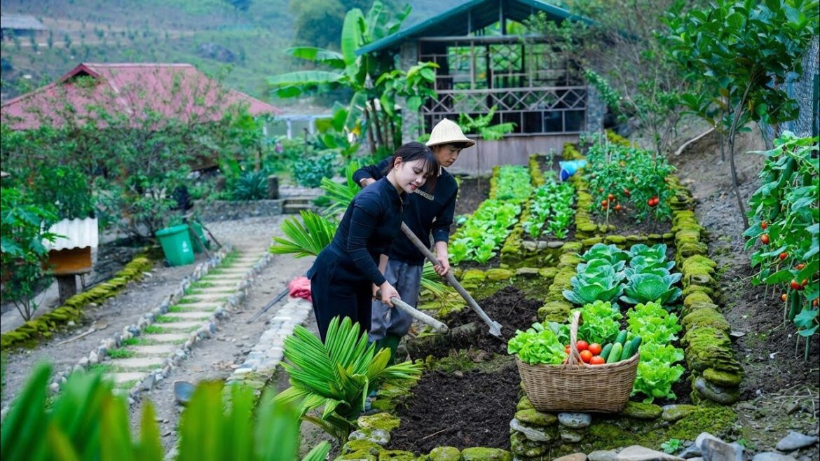 This Backyard Garden Is 1000% Natural… and It Actually Works!