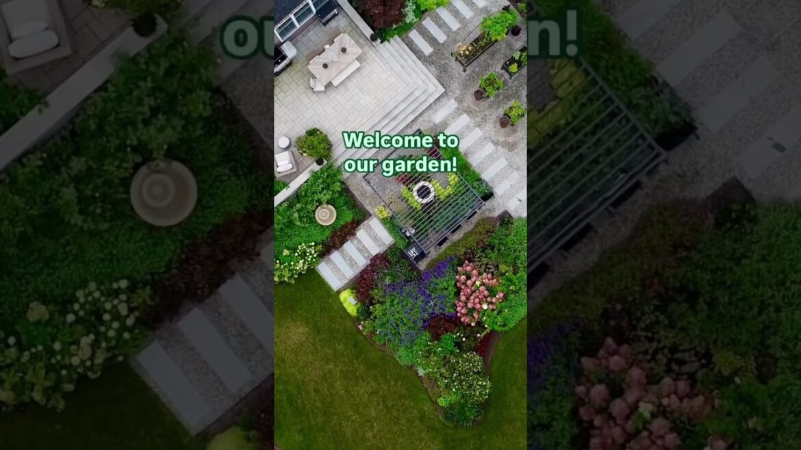 ❄️➡️🌸 Winter to Summer Garden Transformation! Watch the Magic Unfold #Shorts ❄️➡️🌸 Winter to Summer Garden Transformation! Watch the Magic Unfold #Shorts