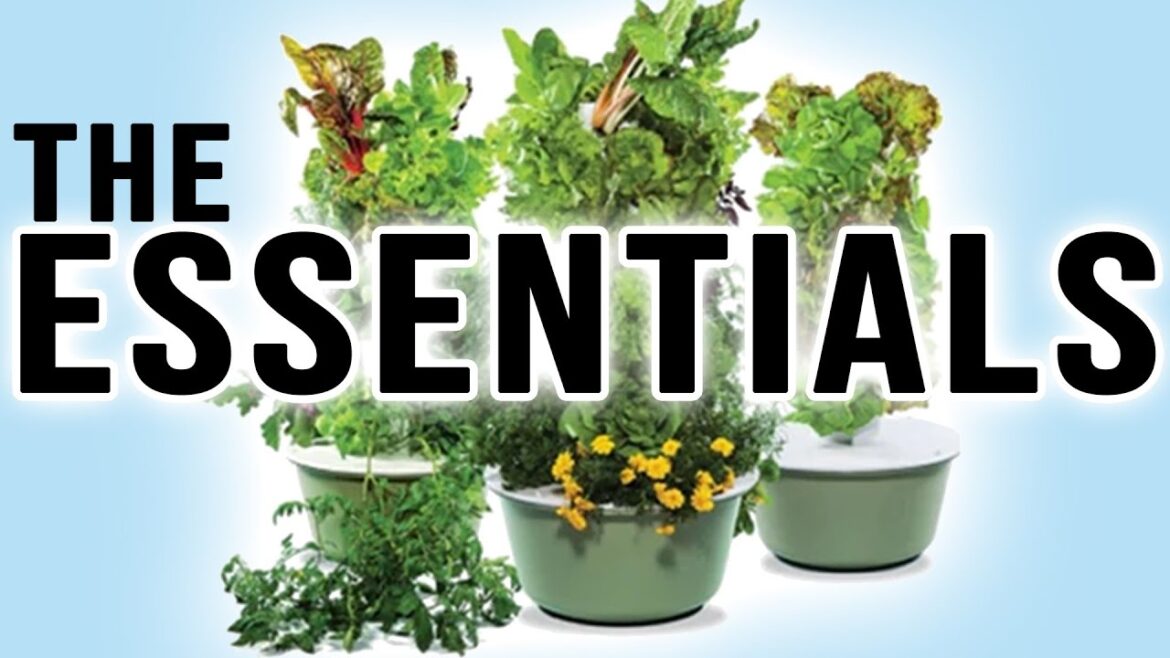 Essential Tools And Tower Garden Accessory Tips And Tricks For Hydroponic / Aeroponic Tower Gardens Essential Tools And Tower Garden Accessory Tips And Tricks For Hydroponic / Aeroponic Tower Gardens