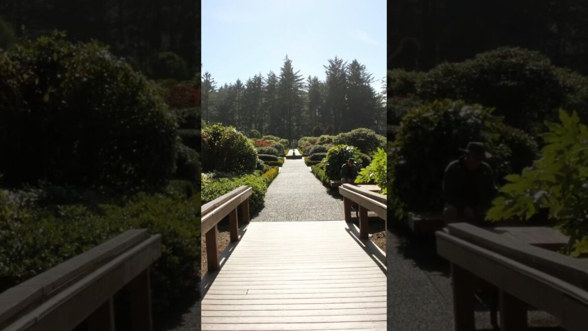 RV to A Path to Nature! Deep dive into a Landscape of Awe! @somedayistodayrv#parks