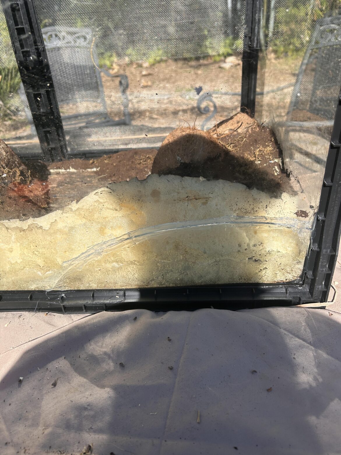 First vivarium crisis #2 First vivarium crisis #2