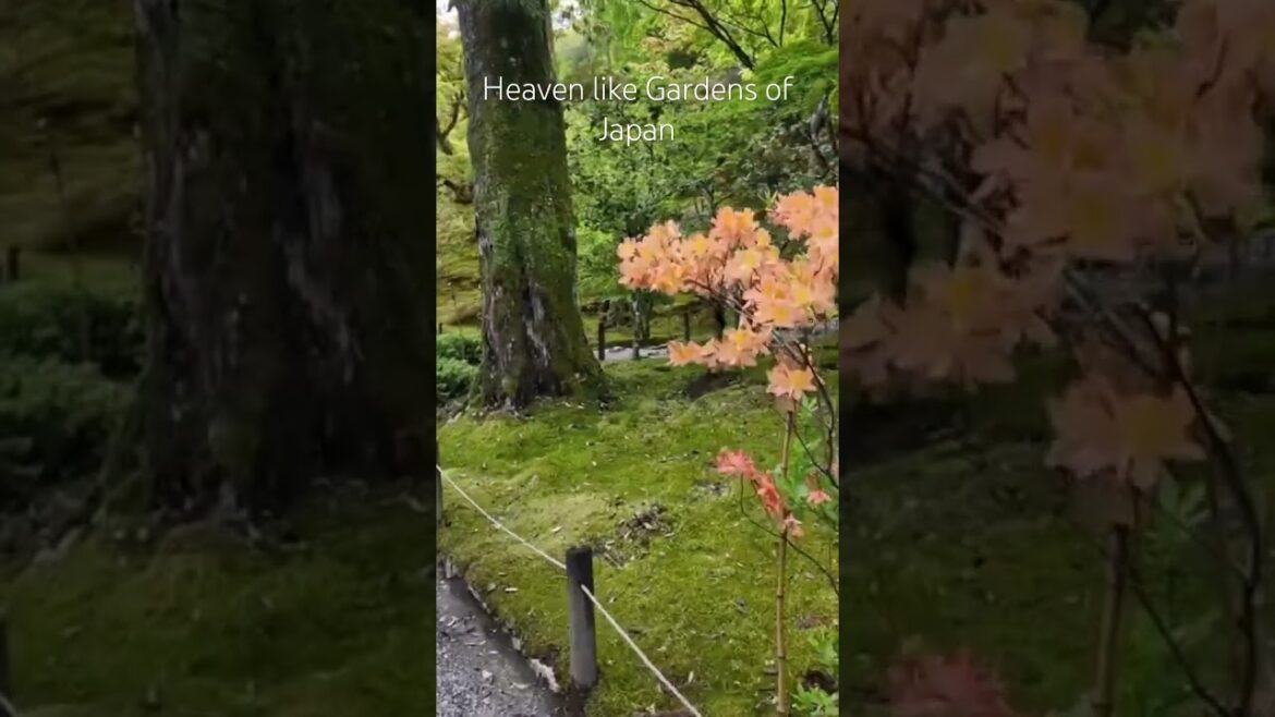 Gardens of Japan
