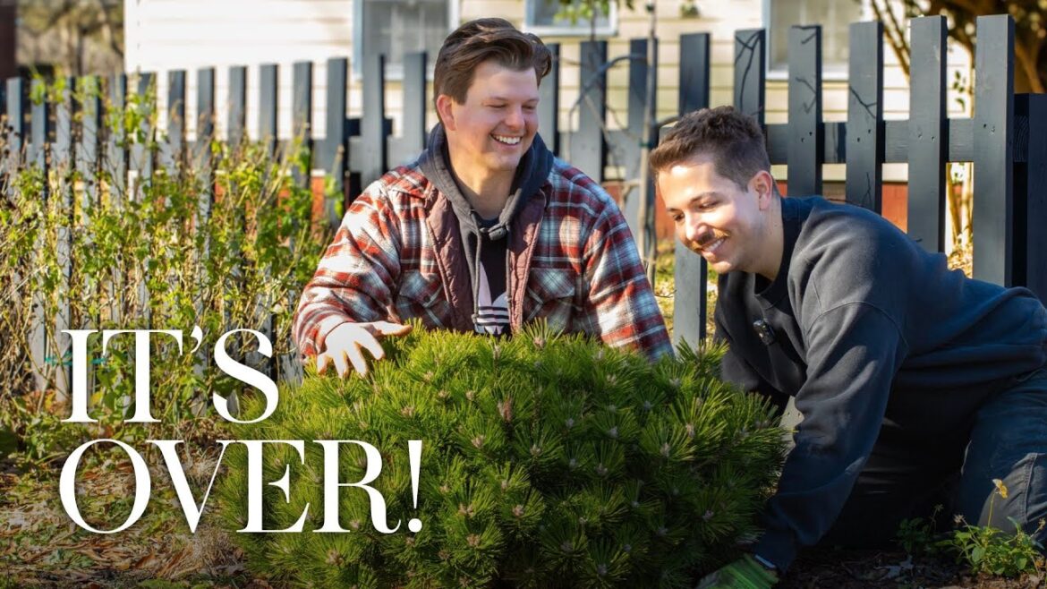 Our Last Garden Project of 2025 | Gardener in Love