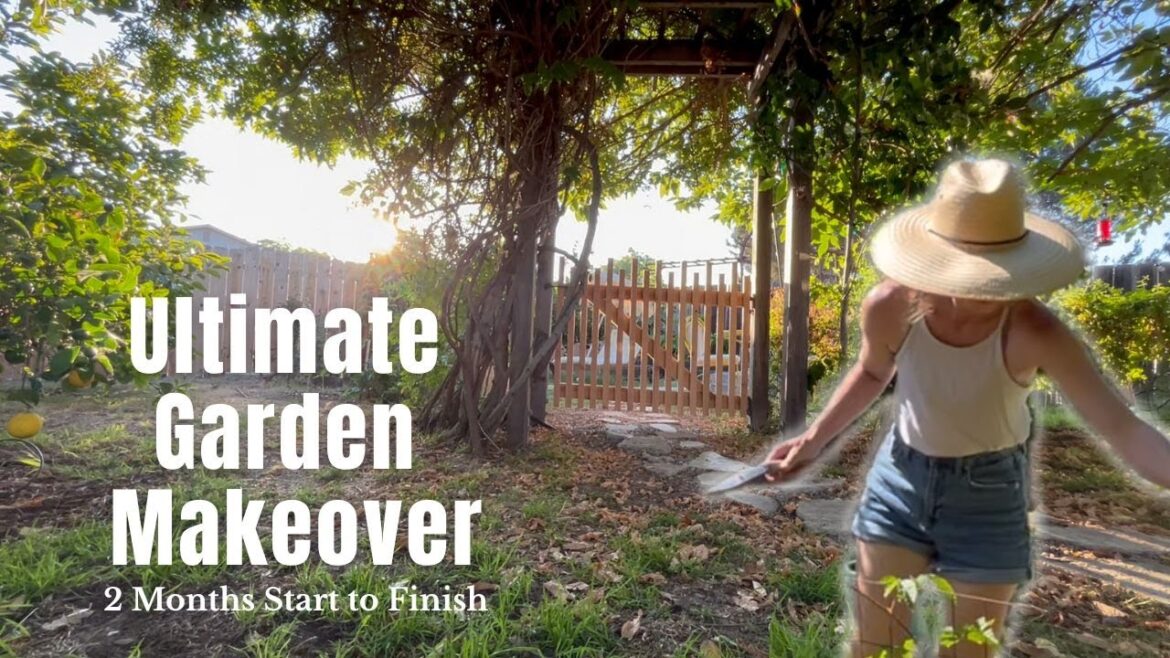 2 Months of Backyard Projects: Extreme Before & After Garden Makeover
