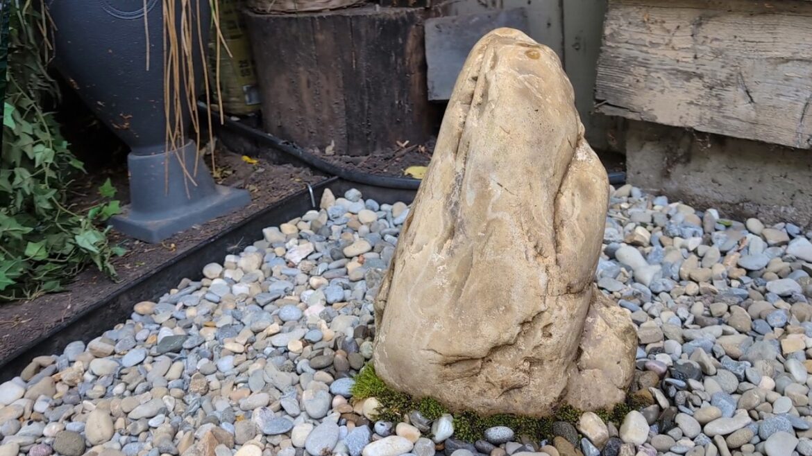 Turning a Dirt Patch Into a Japanese-Inspired Rock Garden