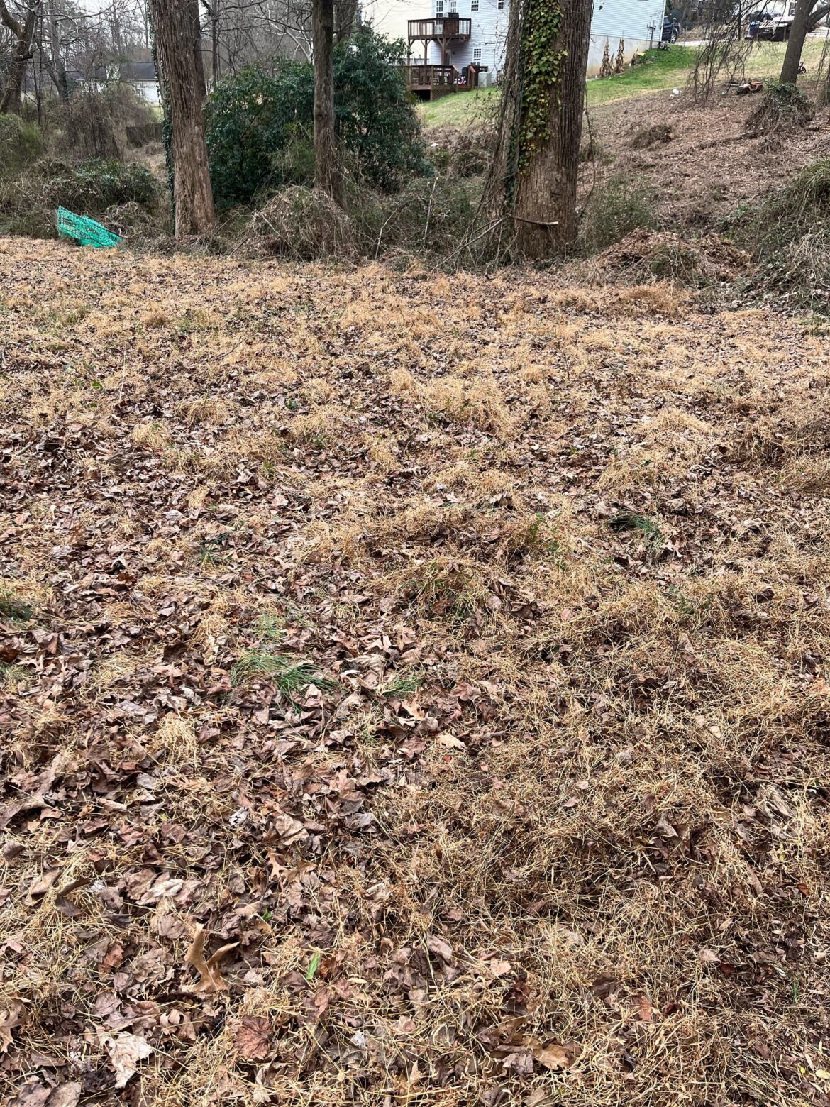 Does this need to all be raked up?