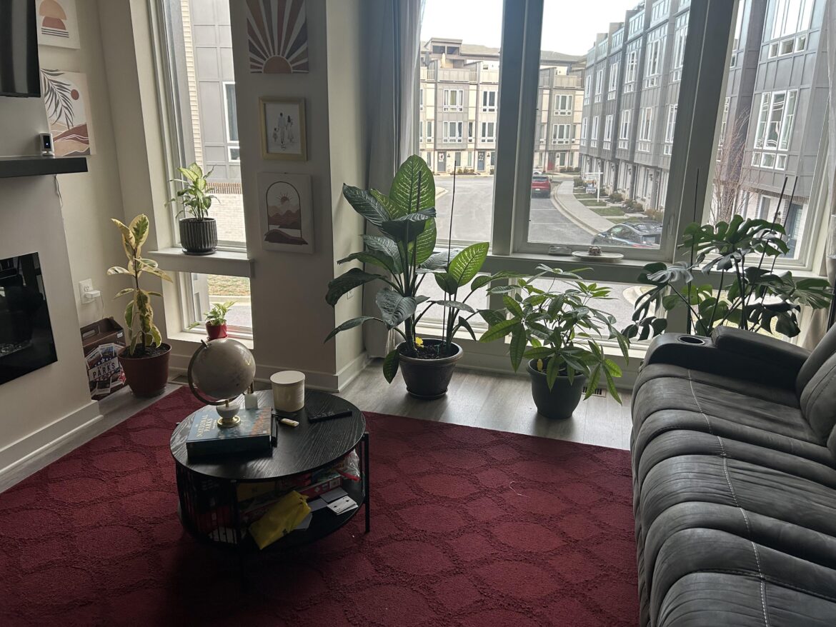 It’s coming along!