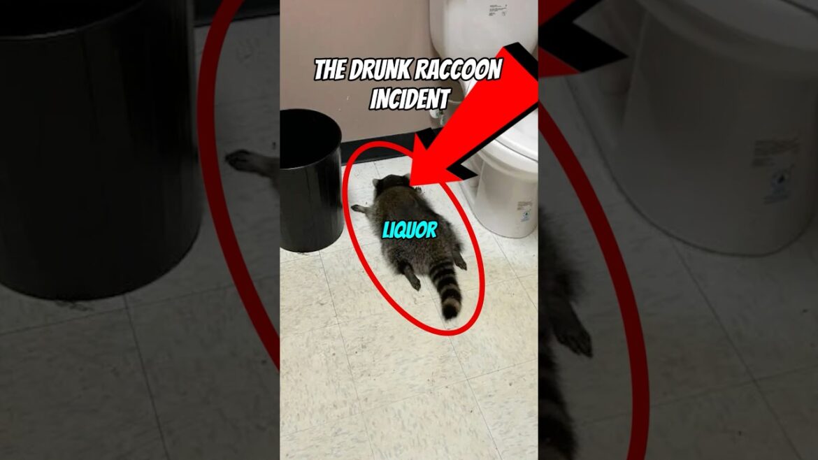 Crazy Animal Story #funny #petsunited #funnyanimals Crazy Animal Story #funny #petsunited #funnyanimals