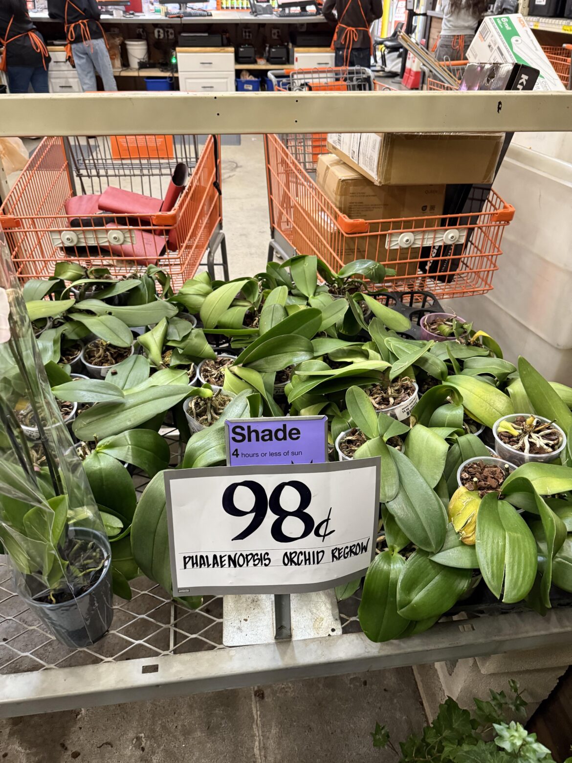 Home Depot Sale