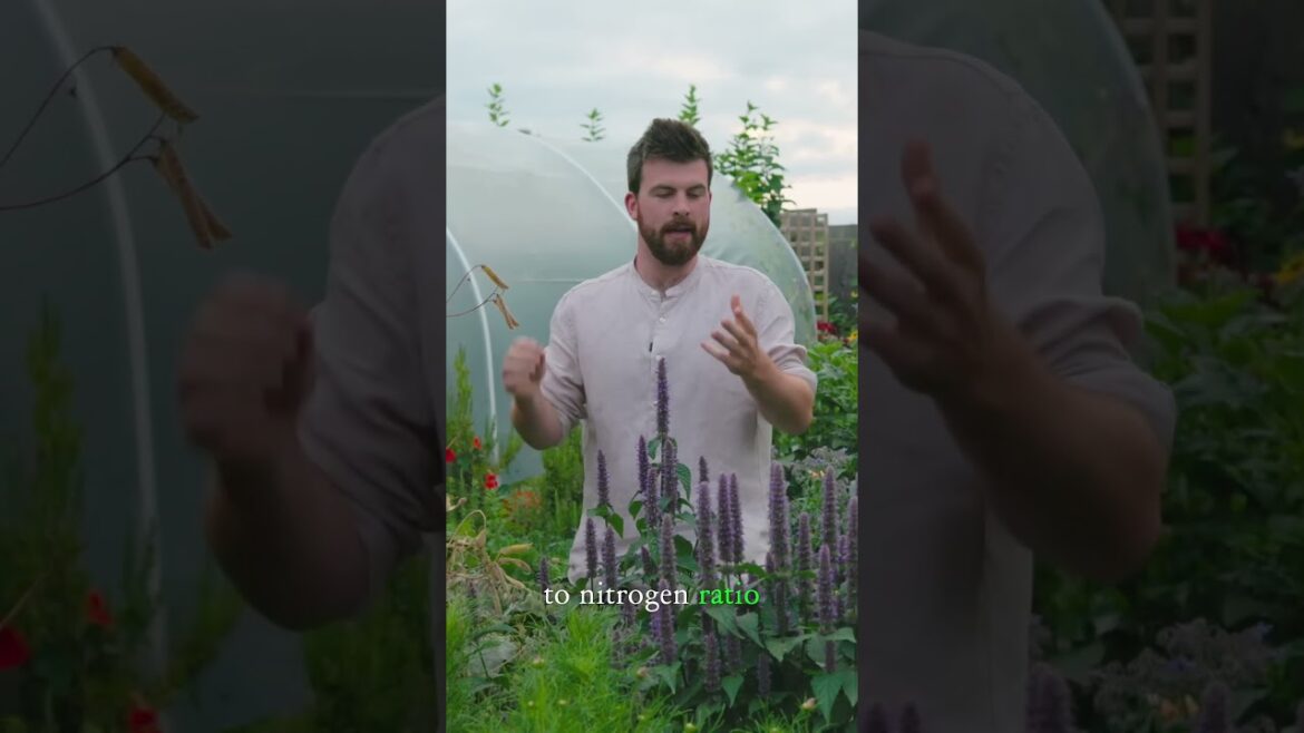 Stop worrying about compost ratios #gardeningtips