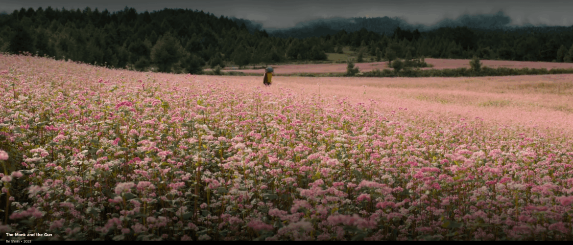 What are these flowers? It's a screenshot from the film The Monk and the Gun (2023). It's Bhutan.