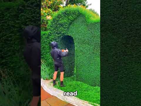 Satisfying Gardening Work 🌳 #garden #gardening #satisfying #cleaning #grass #lawn #viral #fyp #55 Satisfying Gardening Work 🌳 #garden #gardening #satisfying #cleaning #grass #lawn #viral #fyp #55