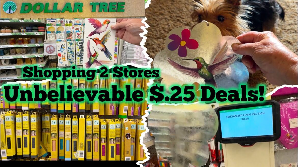 ✅Money SAVING Dollar Tree Hummingbird Craft & Garden Supplies for Container Gardening & Bird Feeder ✅Money SAVING Dollar Tree Hummingbird Craft & Garden Supplies for Container Gardening & Bird Feeder