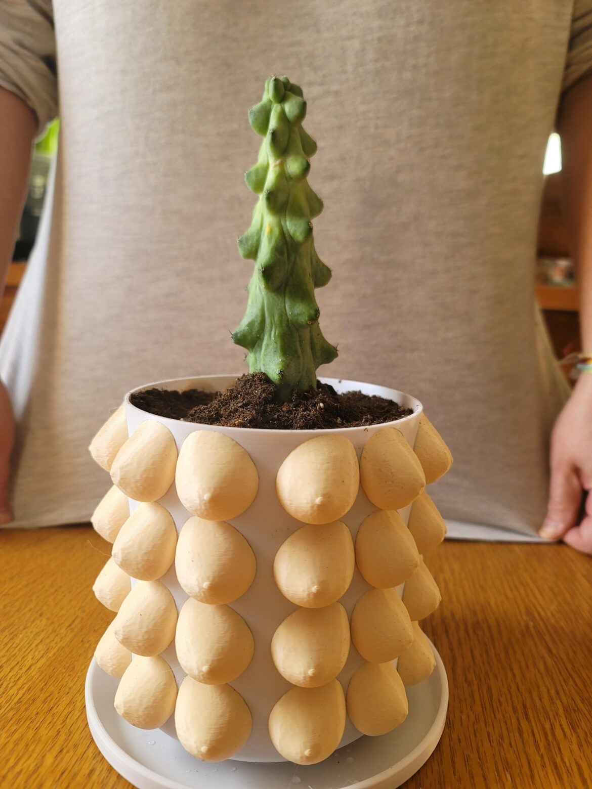 Bobbie cactus in 3d printed container