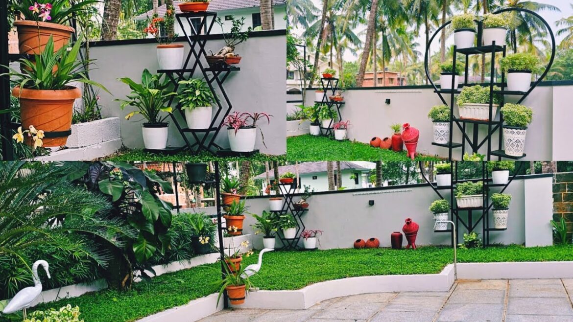 MY HOME GARDEN, GARDEN SETTING IDEAS മലയാളം