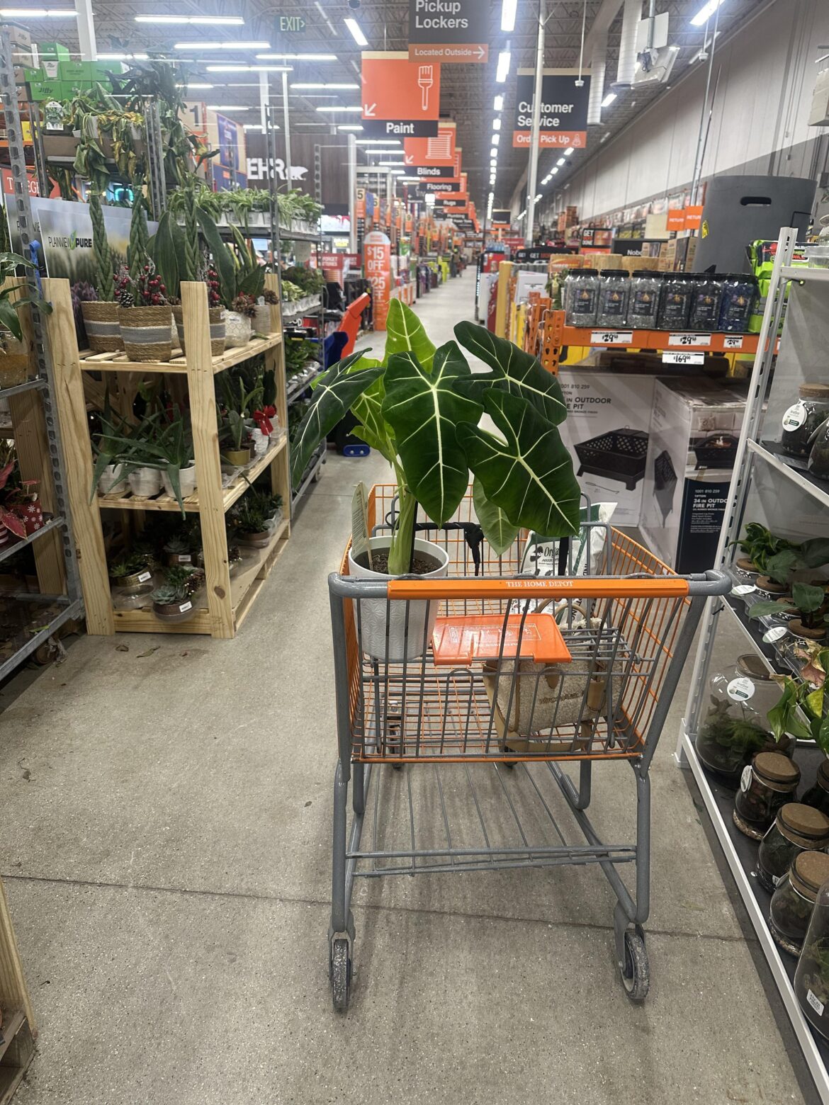 Look what I’ve found 😍