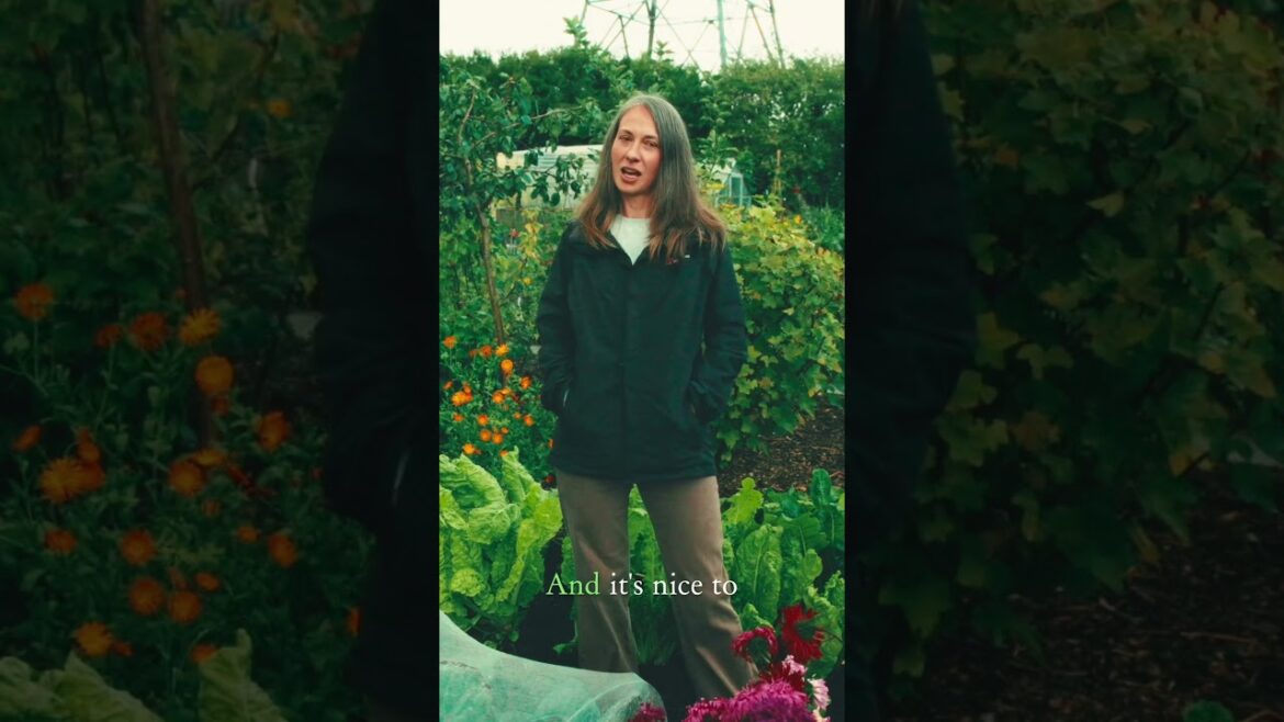 Urban Gardening Benefits #gardeningtips