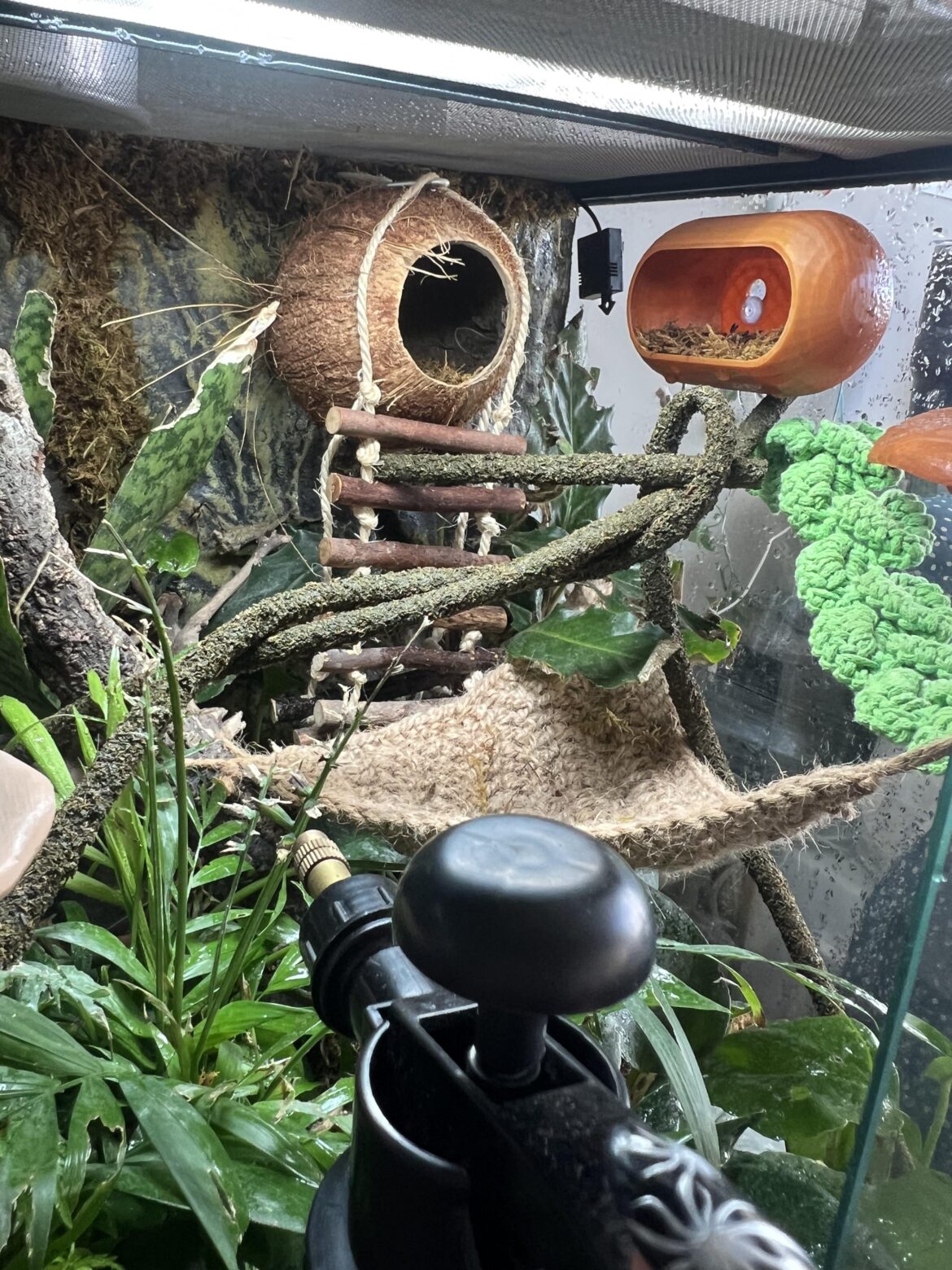 Plant suggestions (please help!!)