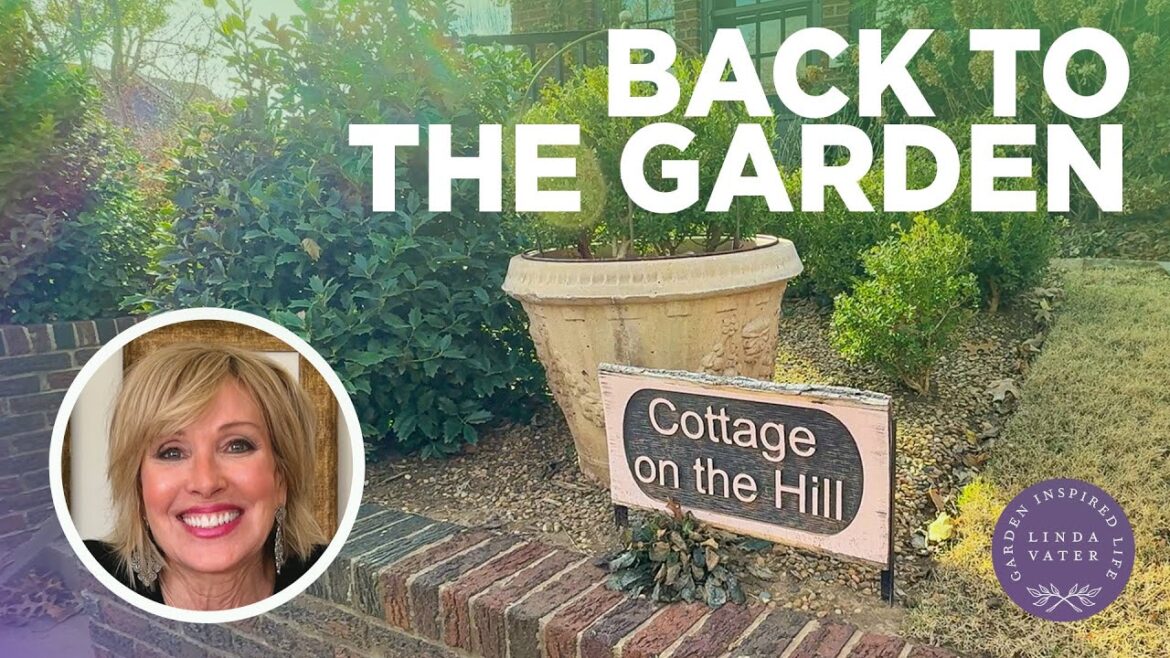 Day After Christmas Garden Chores 🌿 | Linda Vater