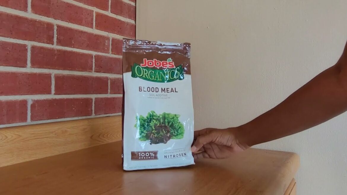 Blood Meal Organic Fertilizer (3 lb, 2-Pack) — How I Use It in My Garden Blood Meal Organic Fertilizer (3 lb, 2-Pack) — How I Use It in My Garden