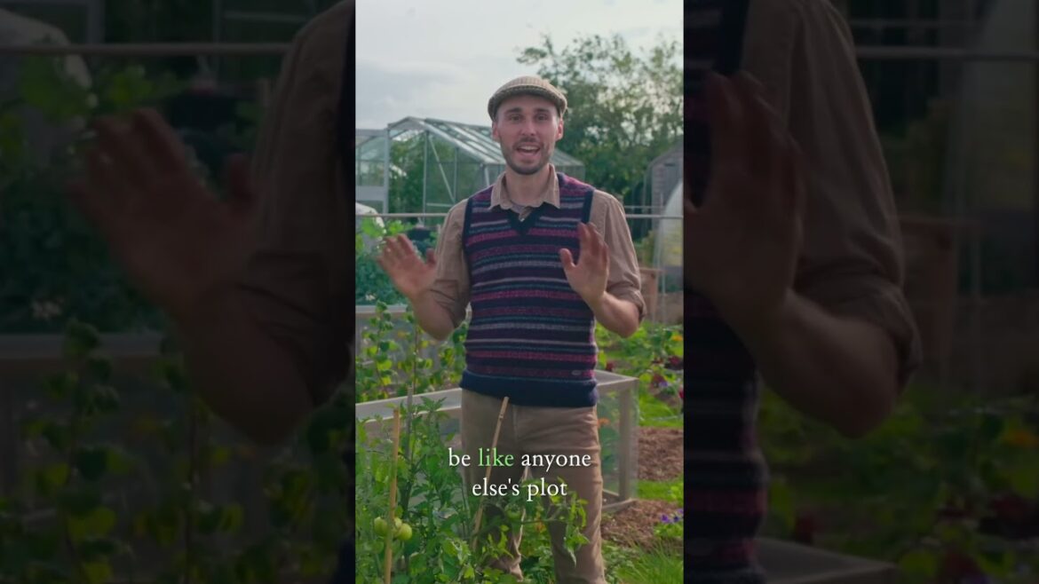 You have to see this garden! #gardeningideas