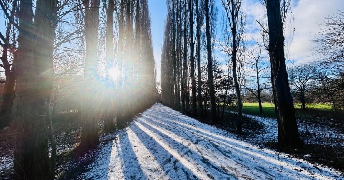 The stunning south Manchester winter walk with secret gardens and pubs Manchester Evening News