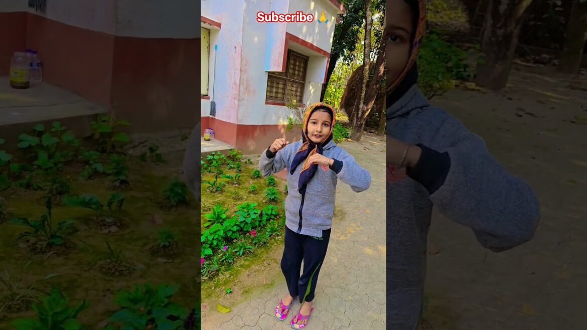 ডায়ান্থাস গাছে ফুল ফুটেছে #garden #gardening #flowers #nursery #UpdateGardening #chadbagan