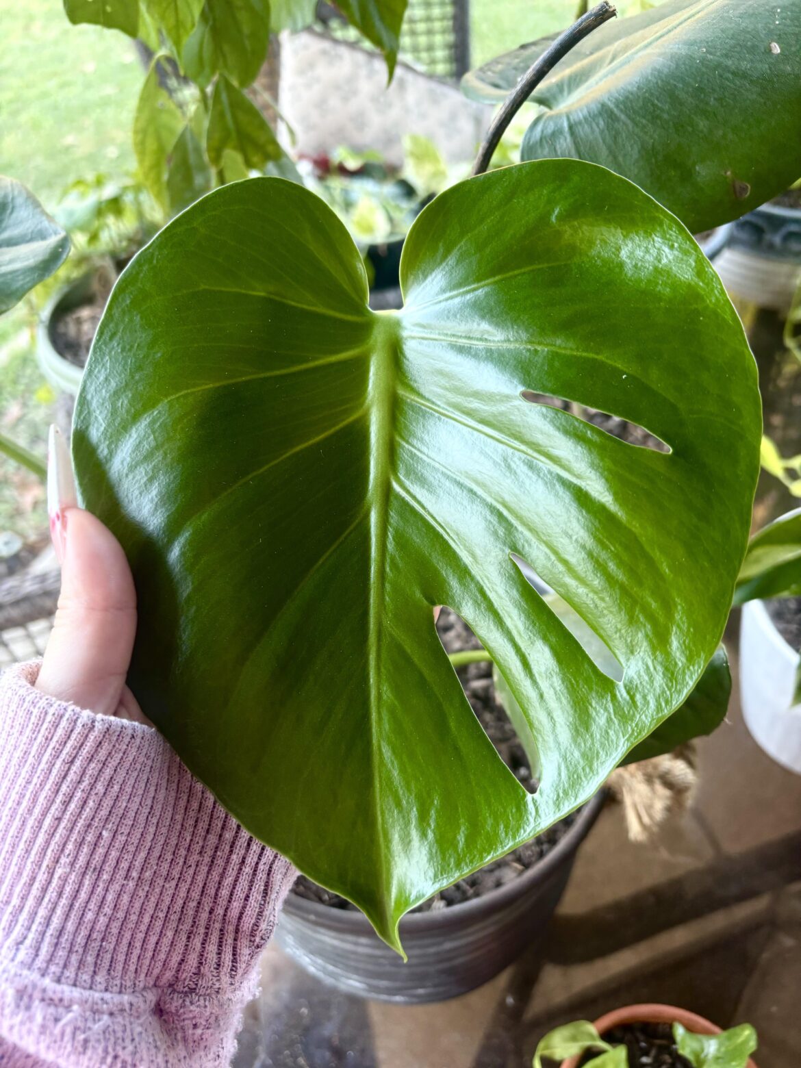 Her new leaf