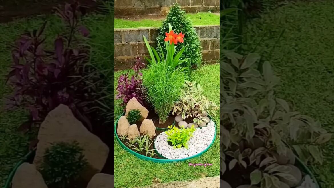 DIY Landscaping Project Ideas 🌿 | ছোট বাগান সাজানোর আইডিয়া #shorts #diy #garden #landscape #decor