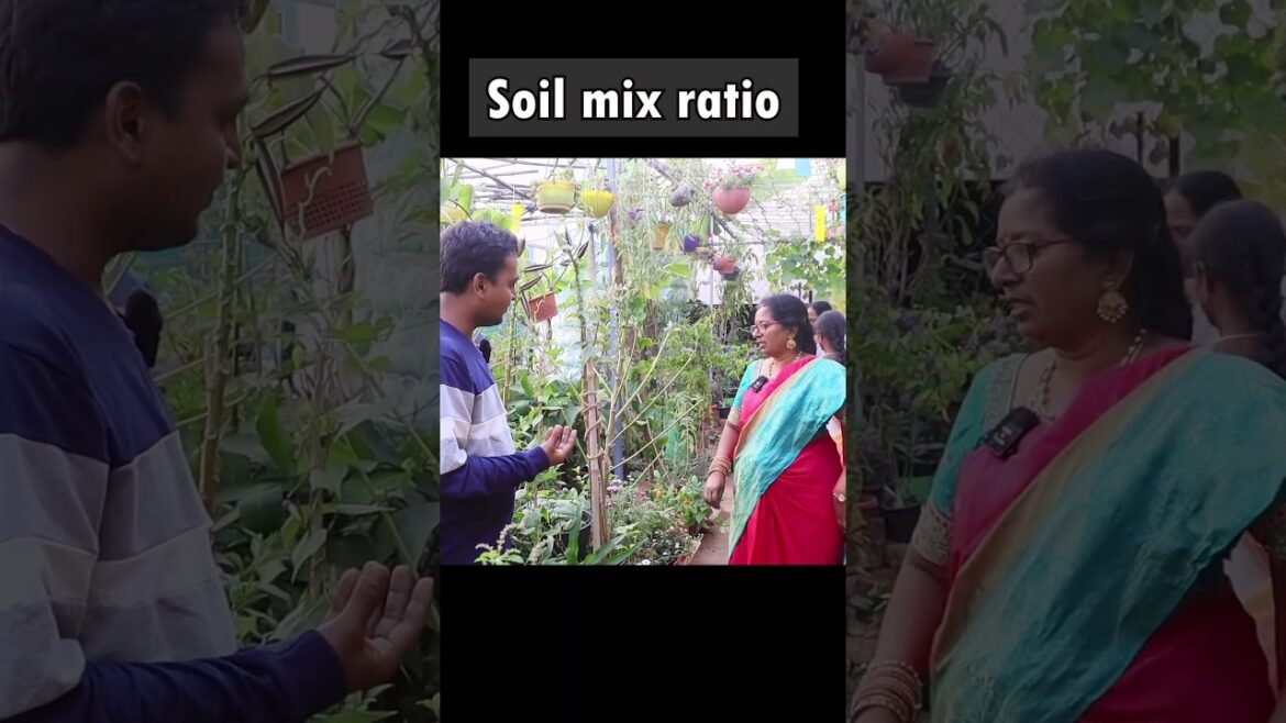 Soil mixing ratios Soil mixing ratios