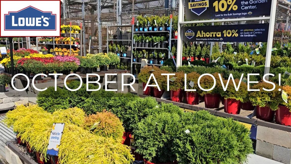 What’s New at Lowe’s Garden Center October 2025. Fall Planting!