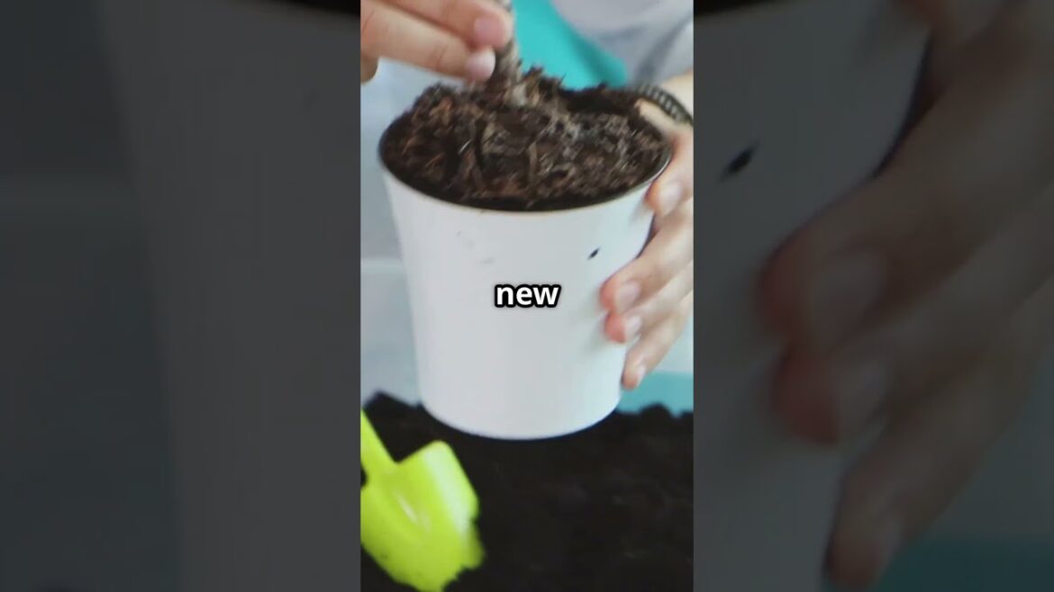 🌱 How to Score FREE Gardening Supplies Today! 🌱 How to Score FREE Gardening Supplies Today!