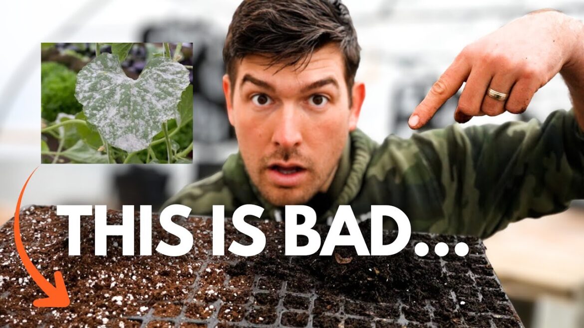 MIgardener: You ARE Getting SCAMMED With This SOIL! You ARE Getting SCAMMED With This SOIL!