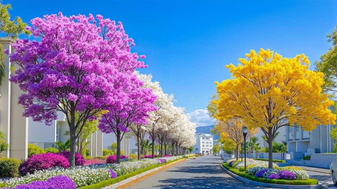 Front Yard Garden Ideas 2026 🌿 Smart Design, Decor & Planting to Elevate Your Street