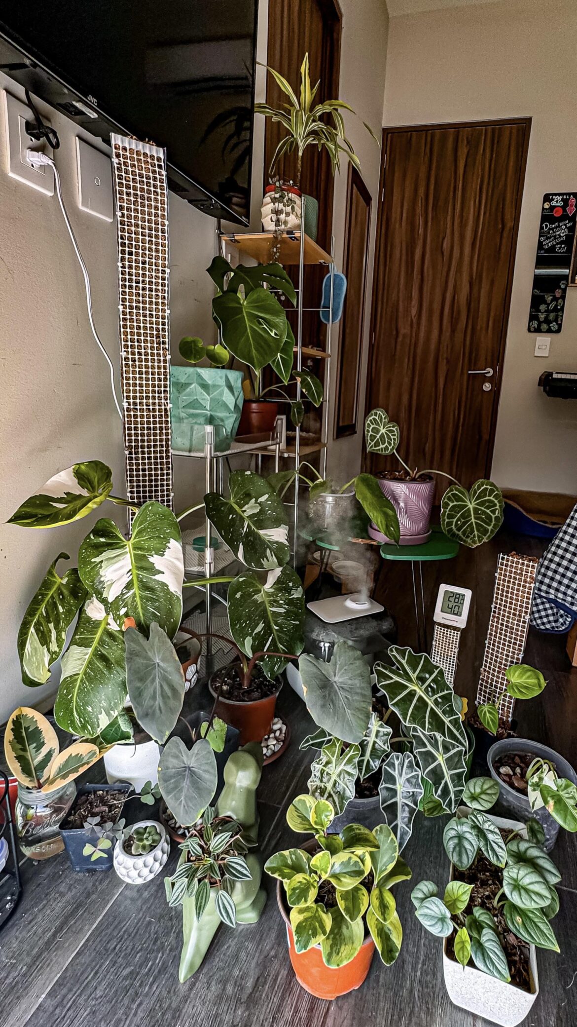 The hoarding of plants stops at some point right?