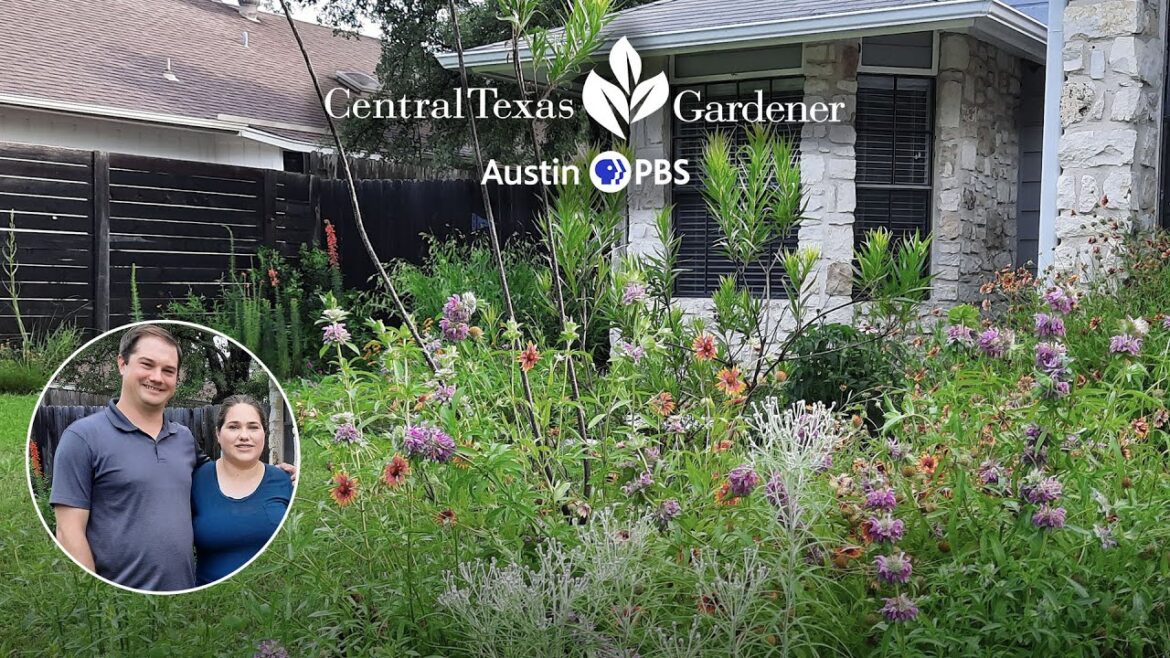 Front Yard Native Plant Wildlife Habitat Front Yard Native Plant Wildlife Habitat