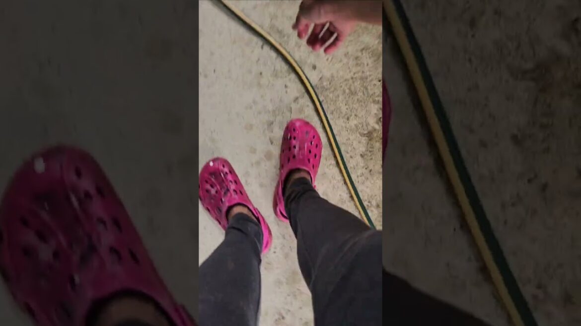 Spend time in my front yard