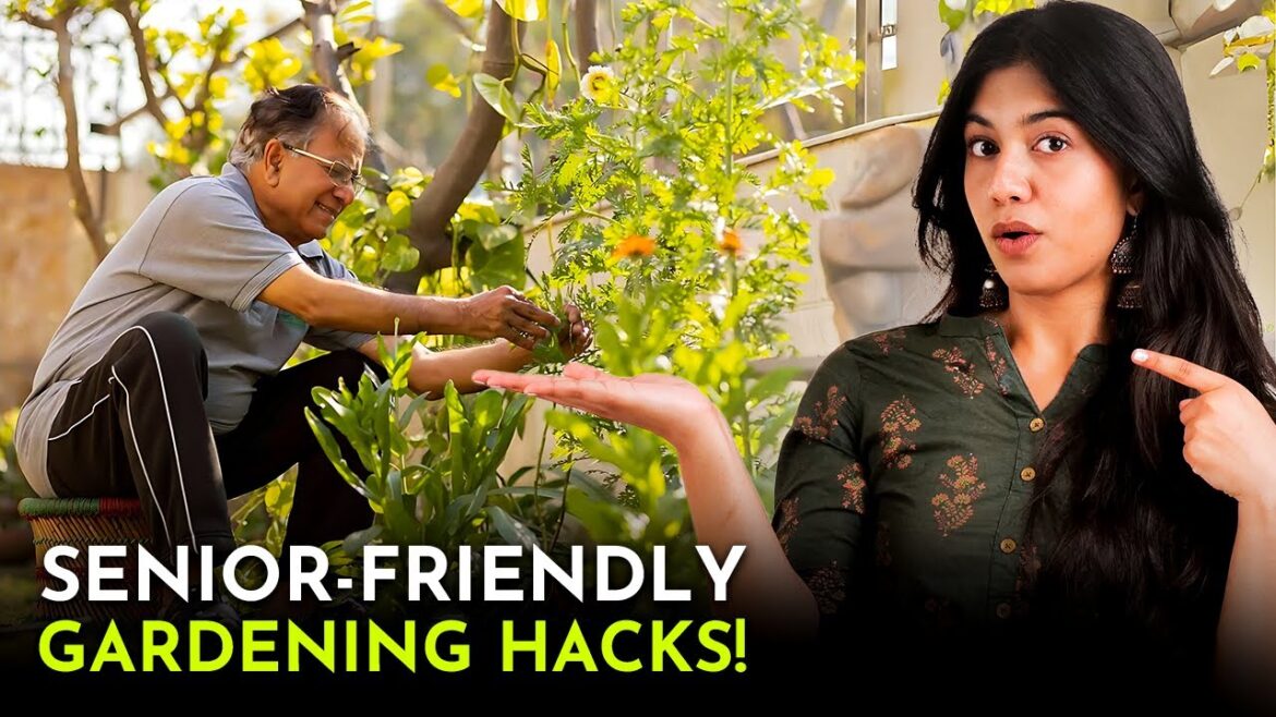 5 Genius Gardening Tools Every Senior Needs! 5 Genius Gardening Tools Every Senior Needs!