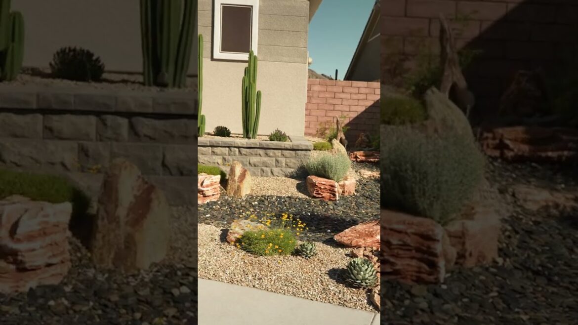 Desert Vibes Done Right 🌵 | Beautiful Front Yard Curb Appeal in Las Vegas!