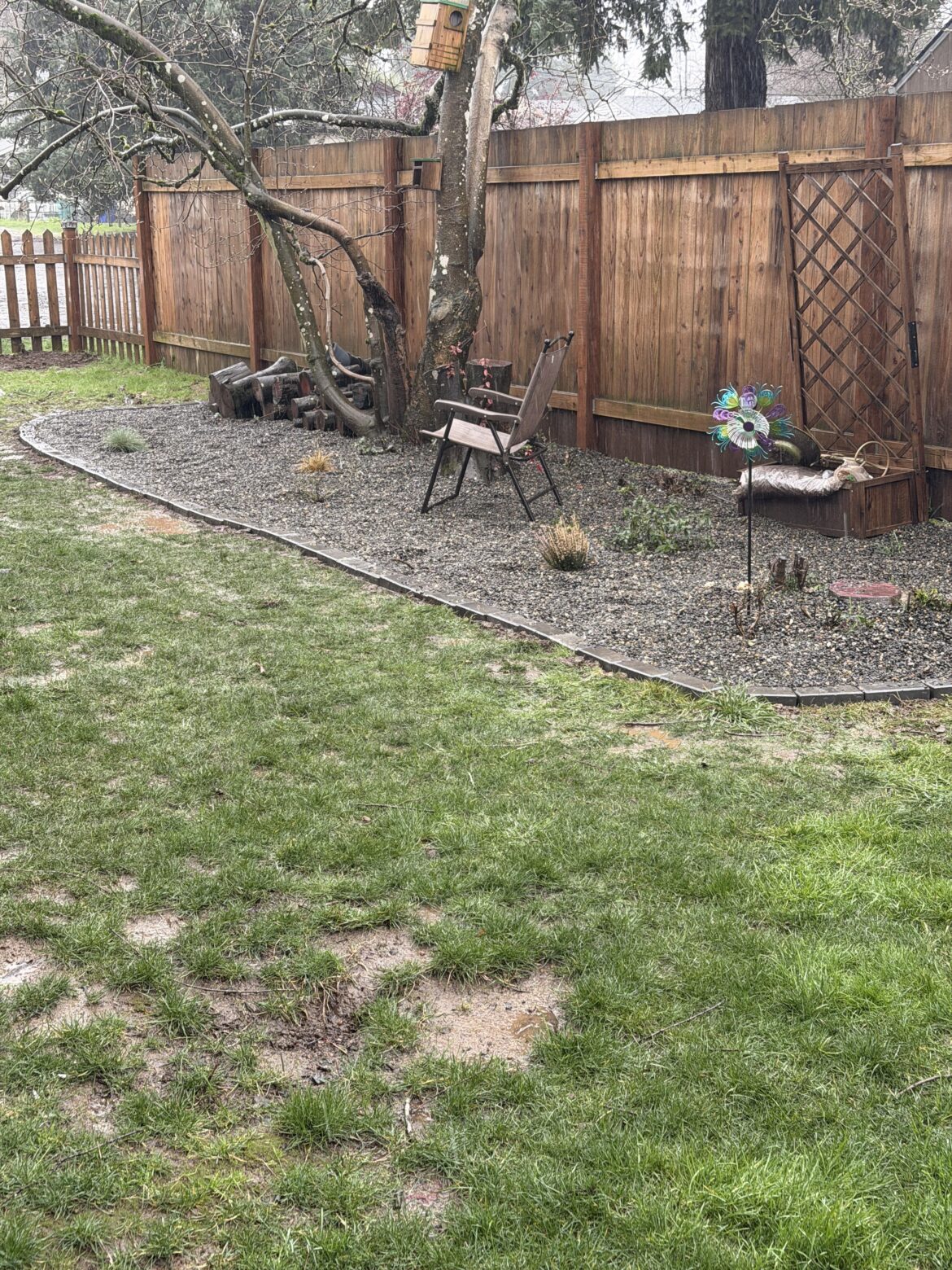 Ideas comments new garden area