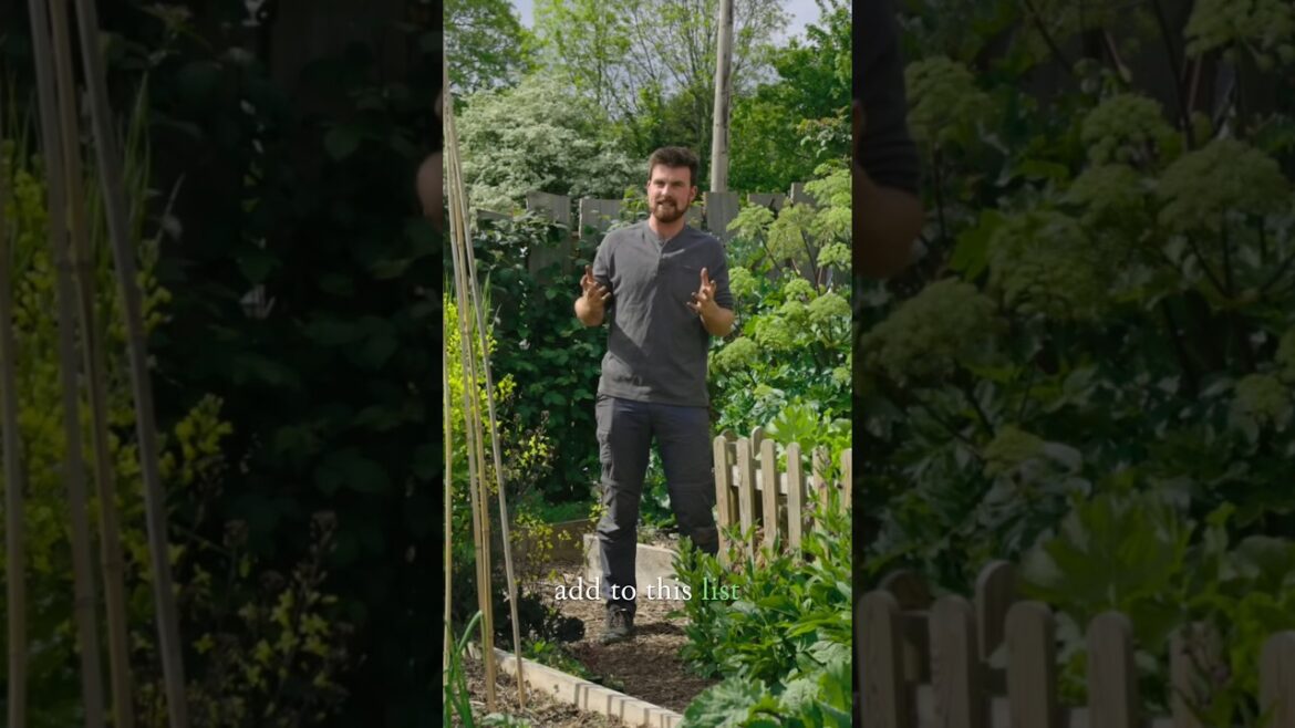 1 Trick To Instantly Boost Garden Yields #gardeningtips