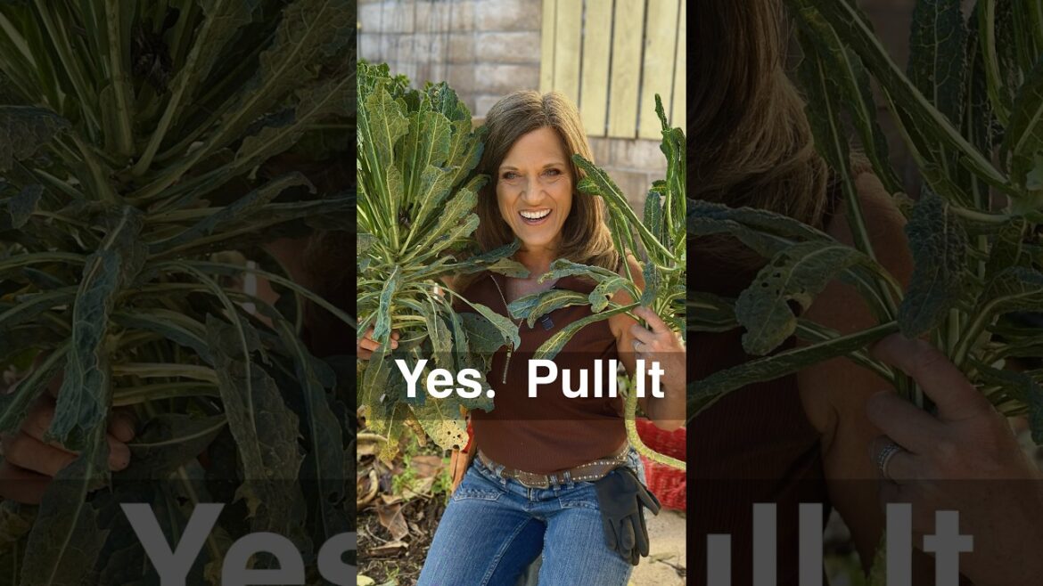 Pull it?  What the Kale!