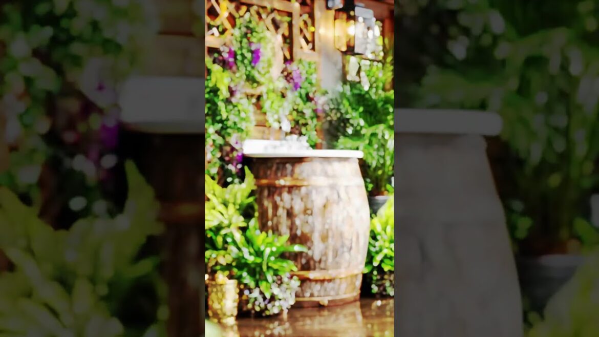 Small Garden Makeover with Geometric Pathways #gardendesign #ytshorts