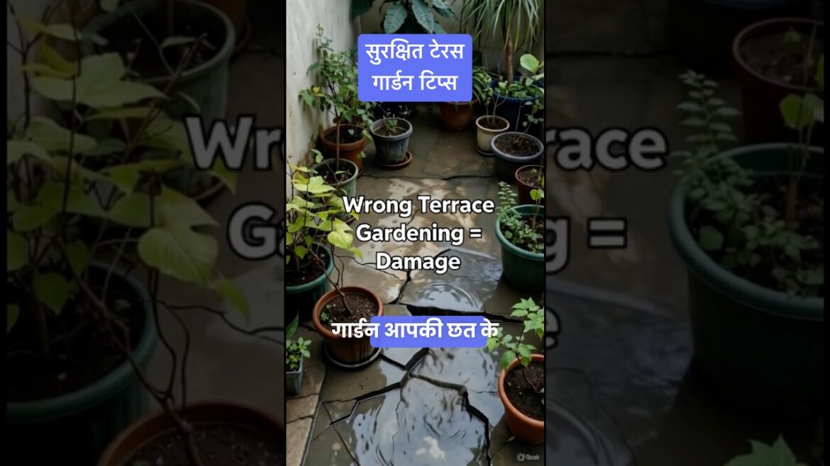 Wrong Terrace Garden Design #shorts #gardening #plants #planter