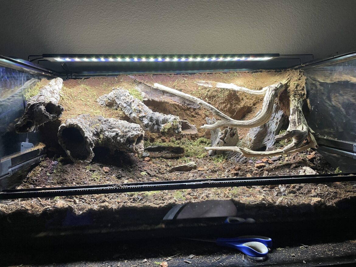 Update before plants