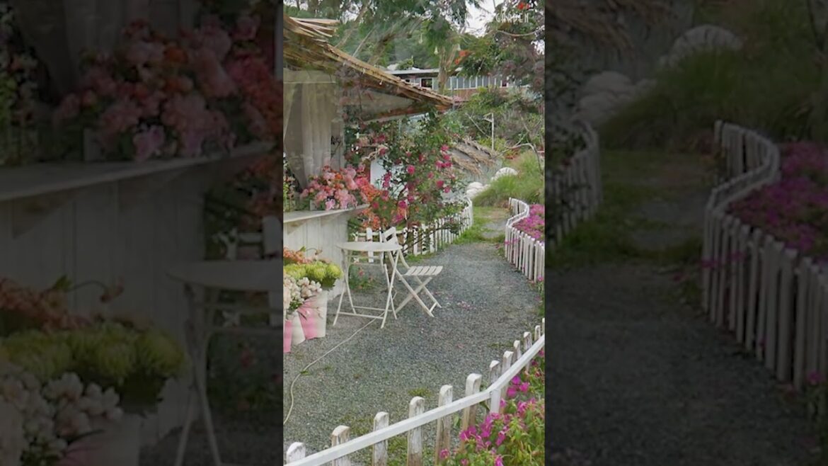 Immerse yourself in the sweet beauty of a dreamy garden